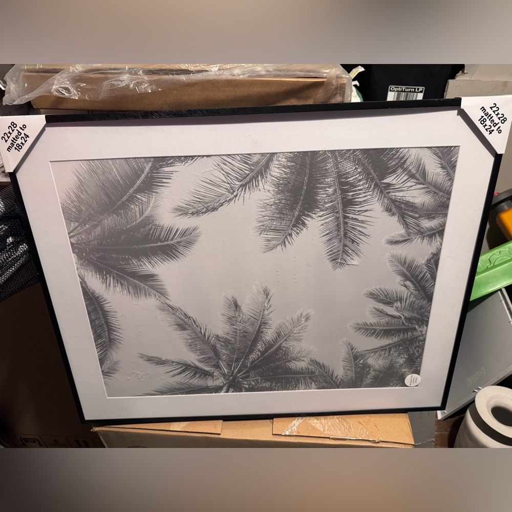 Threshold Black and White Palm Tree Art